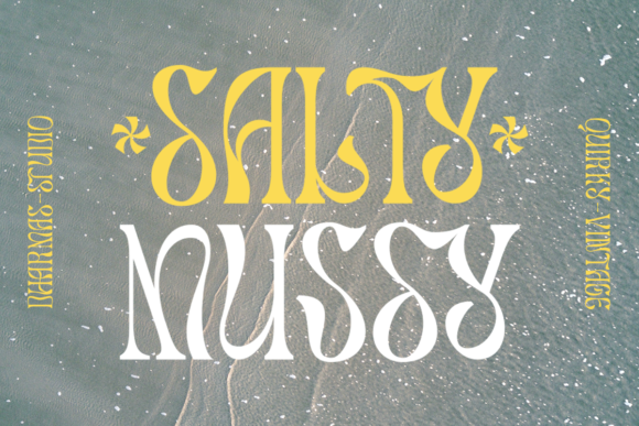 Salty Mussy: The Cool Display Font Makers Love for Products